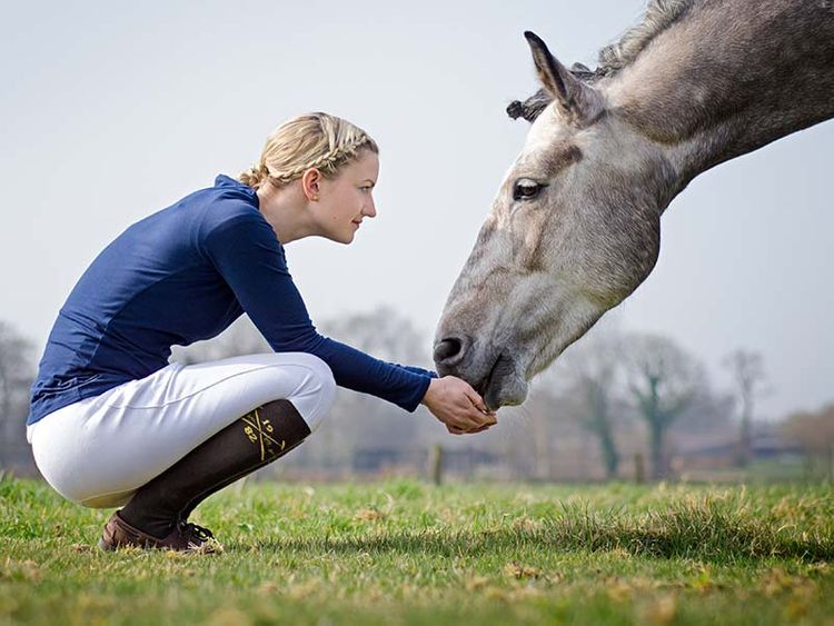 Reiterin füttert Pferd auf der Koppel