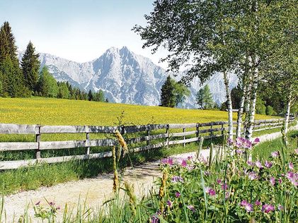 Wanderer in Seefeld in Tirol